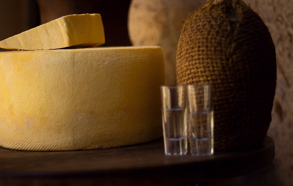 QUITUPAN PRESUME SU QUESO COTIJA PREMIADO EN ITALIA Y SU TRADICIÓN MEZCALERA