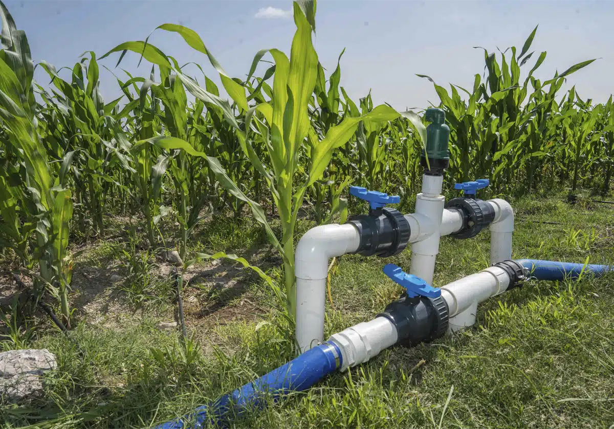 LLAMA SADER A INSCRIBIRSE O REINSCRIBIRSE PARA EL PROGRAMA DE ENERGÍA PARA EL CAMPO 2026