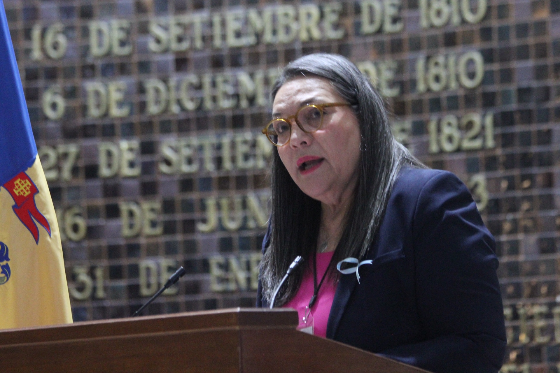 SECRETARÍA DE INTELIGENCIA Y BÚSQUEDA EXHIBE AVANCES ANTE EL CONGRESO DURANTE LA GLOSA DEL PRIMER INFORME