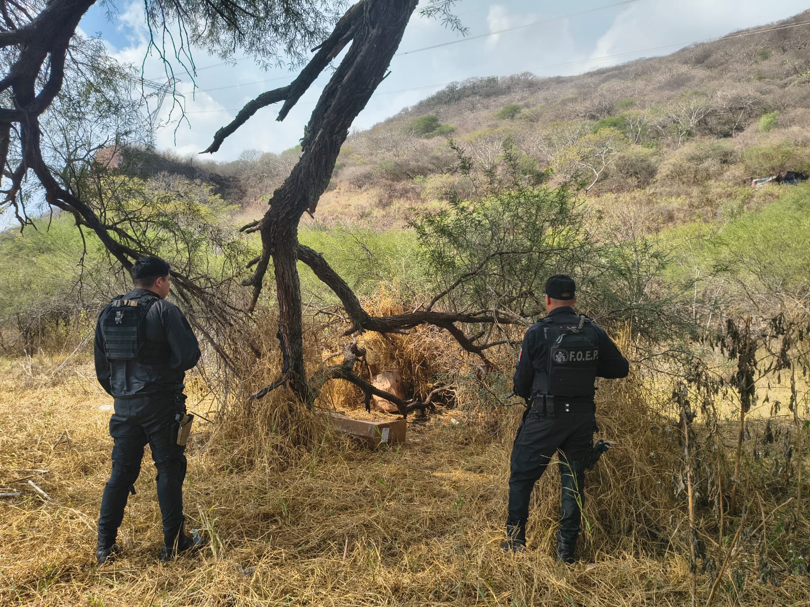 LOCALIZAN ARMAMENTO ABANDONADO EN TECHALUTA DE MONTENEGRO