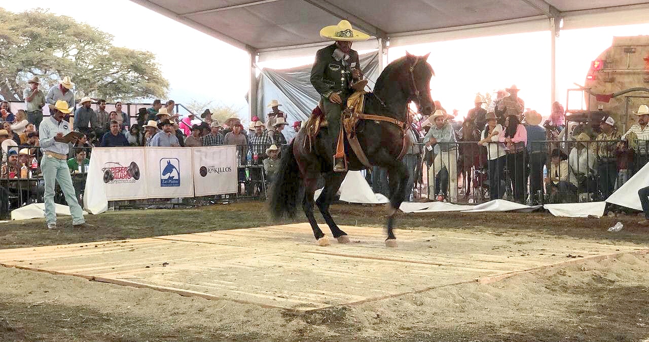 REGRESA FIESTA  CHARRA A TLAJOMULCO DESDE EL 18 DE FEBRERO DEL 2026