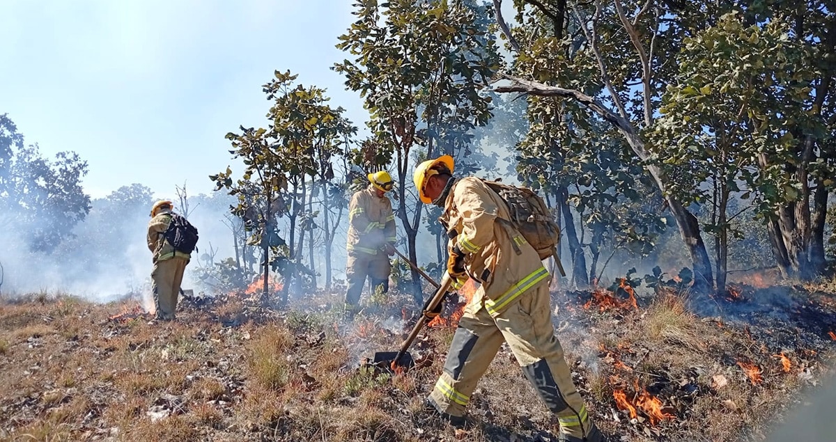 INCENDIOS A LA BAJA: JALISCO REPORTA CIFRAS HISTÓRICAS EN 2026